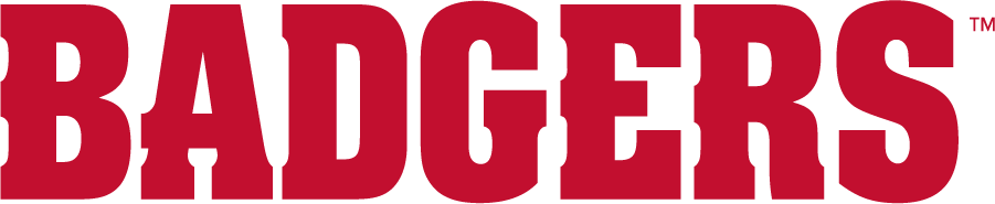 Wisconsin Badgers 2017-Pres Wordmark Logo v3 diy iron on heat transfer